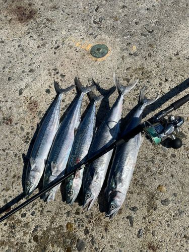 大阪湾
