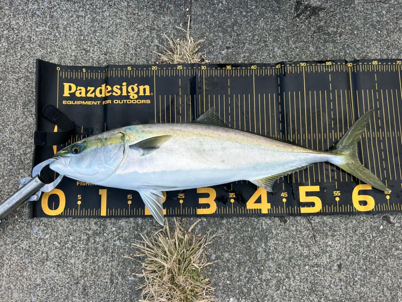 SHIMANO 22エクスセンス ∞ (インフィニティ) S96MLの最安値・インプレ