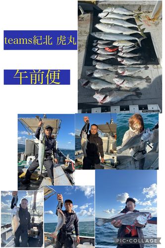 ブリの釣果