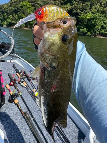 野尻湖（小林）