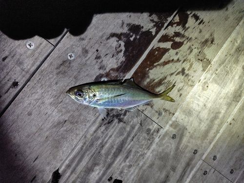 小名浜港アクアマリンふくしま周辺
