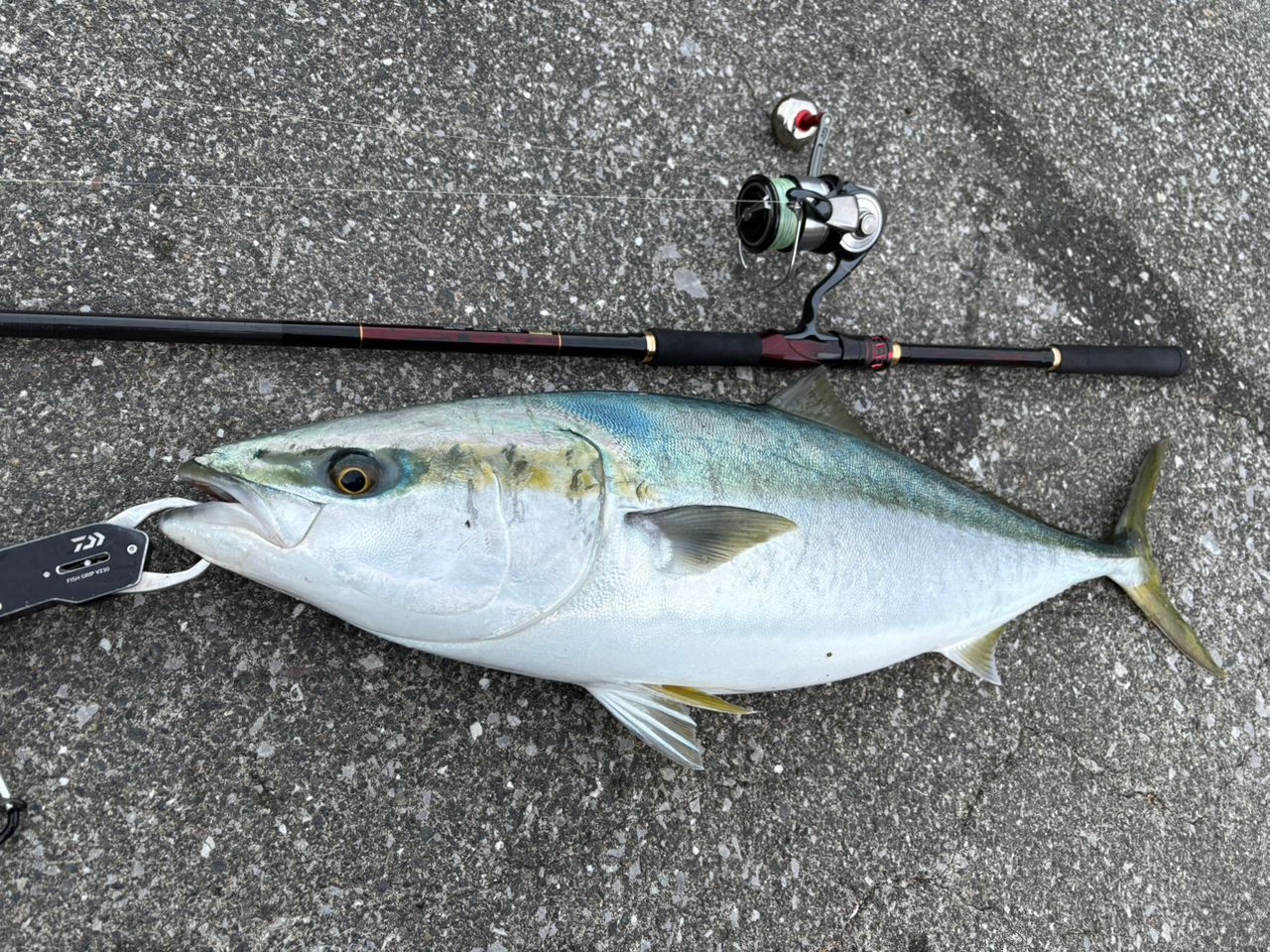 DAIWA 21オーバーゼア グランデ（サーフモデル） 97Mの最安値