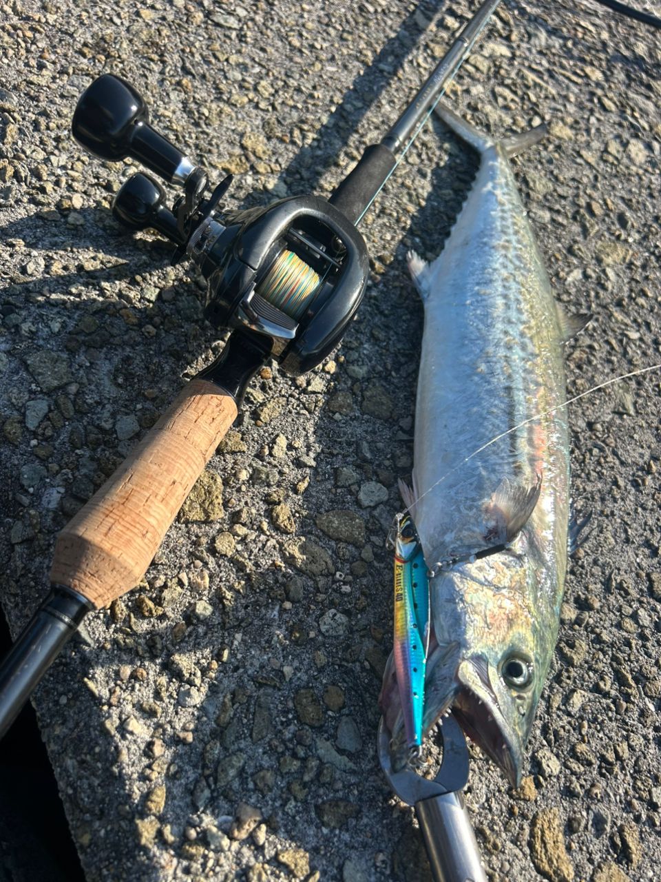 DAIWA 23ファントム リベラリスト 933MH+RSBの最安値・インプレ・釣果