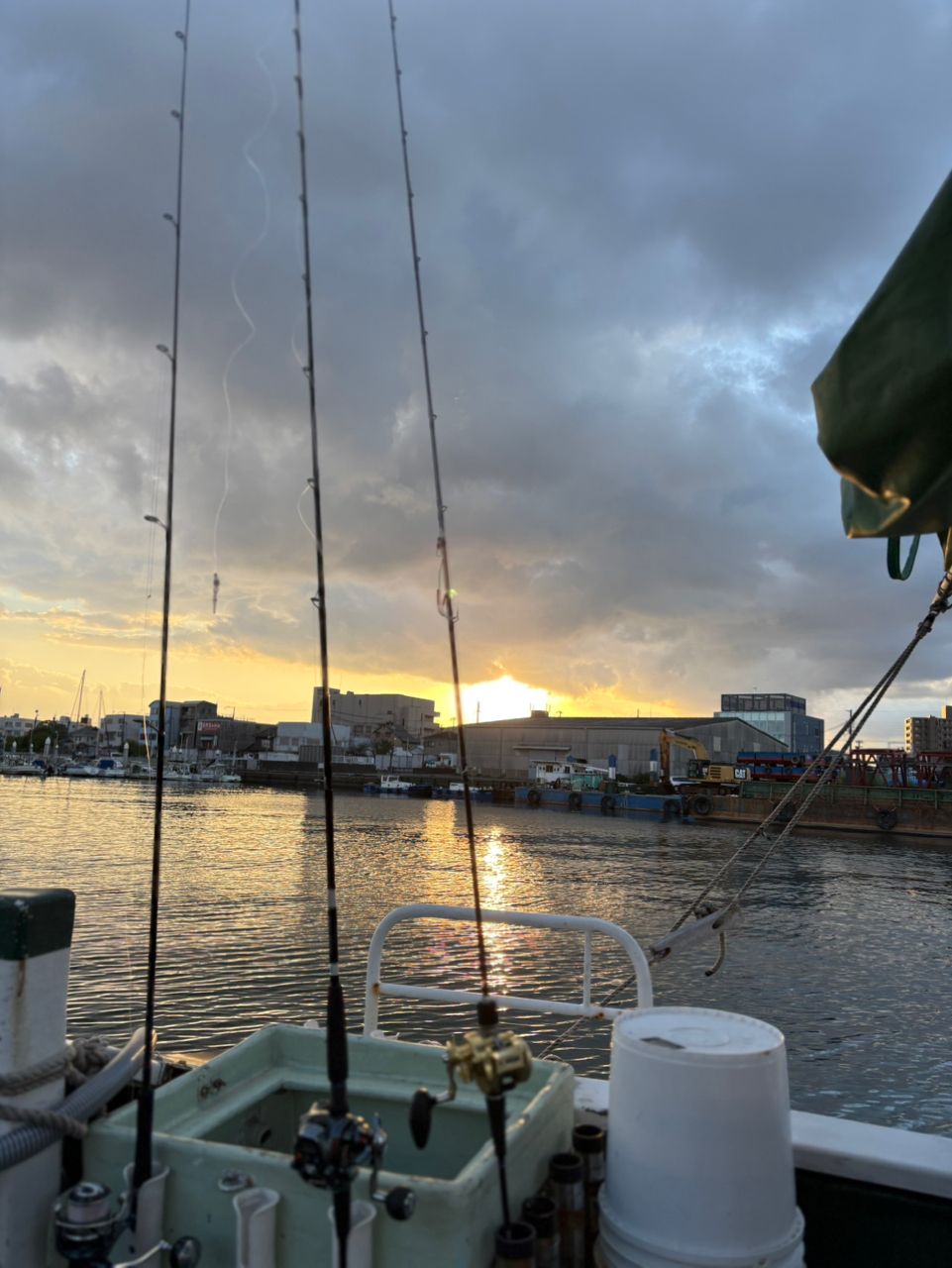 食べ放題さんの釣果 3枚目の画像