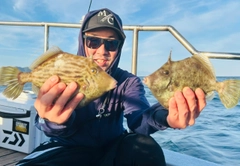 カワハギの釣果