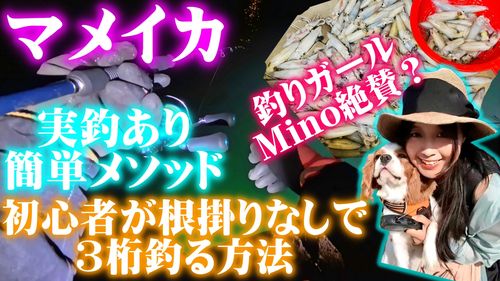 マメイカの釣果