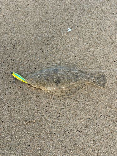 糸島半島
