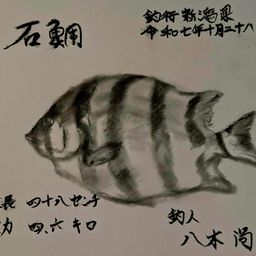 アジ