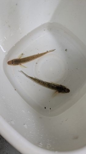 久之浜港