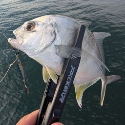 メッキ