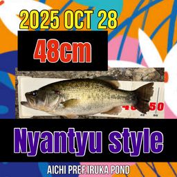 ラージマウスバス