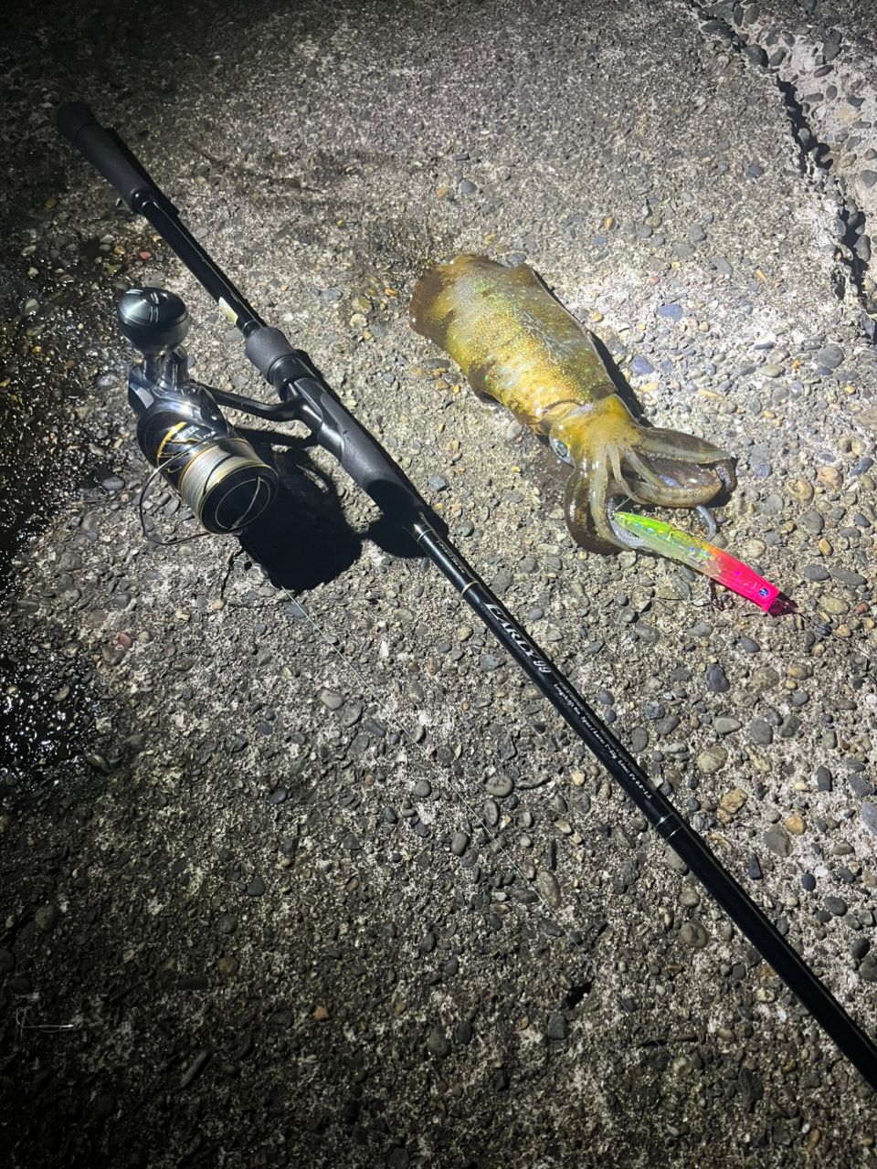 ヤマガブランクス アーリーフォーサーフ 99ml ヤマガブランクス アーリー フォーサーフ EARLY 99ML - 釣具のポイント