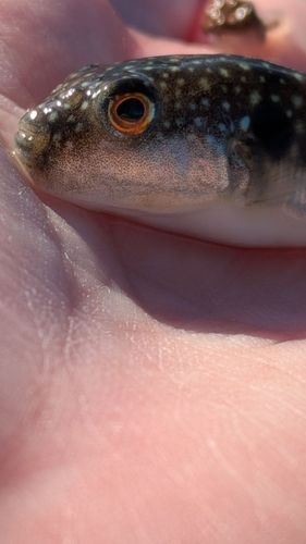 小名浜港アクアマリンふくしま周辺