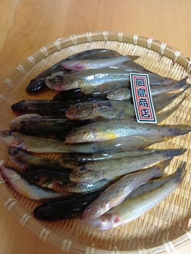 ハゼの釣果