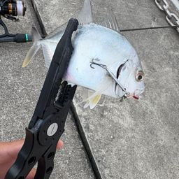 メッキ