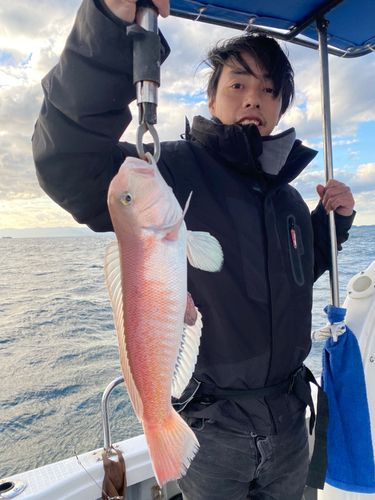 アマダイの釣果