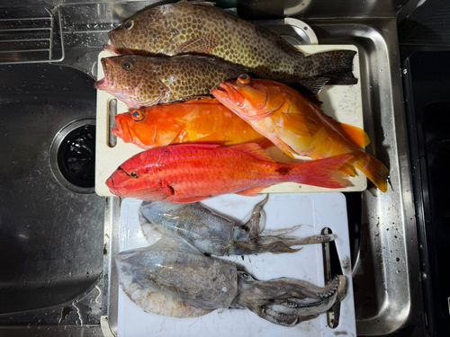 紀伊水道