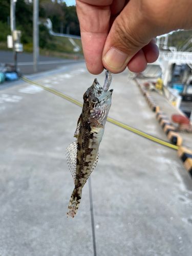 大島瀬戸
