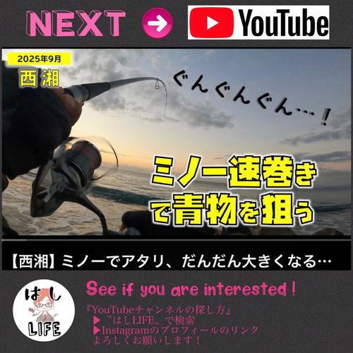 ワカシの釣果
