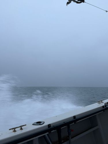 田之浦港(倉敷)