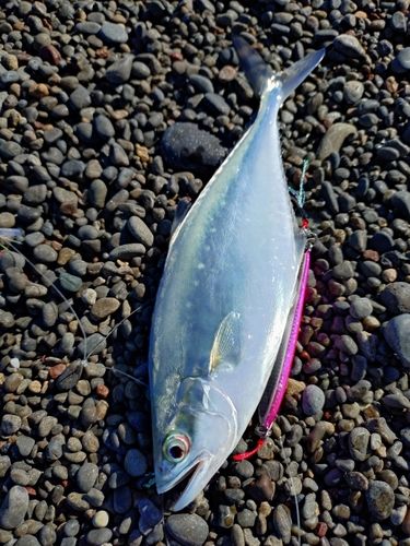高知県東部