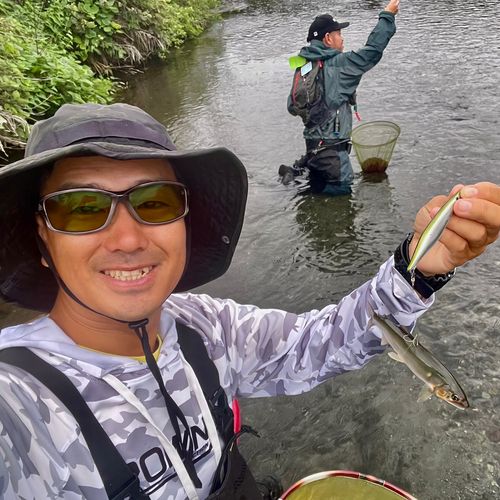 アユの釣果