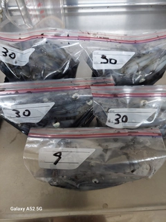 マメイカの釣果