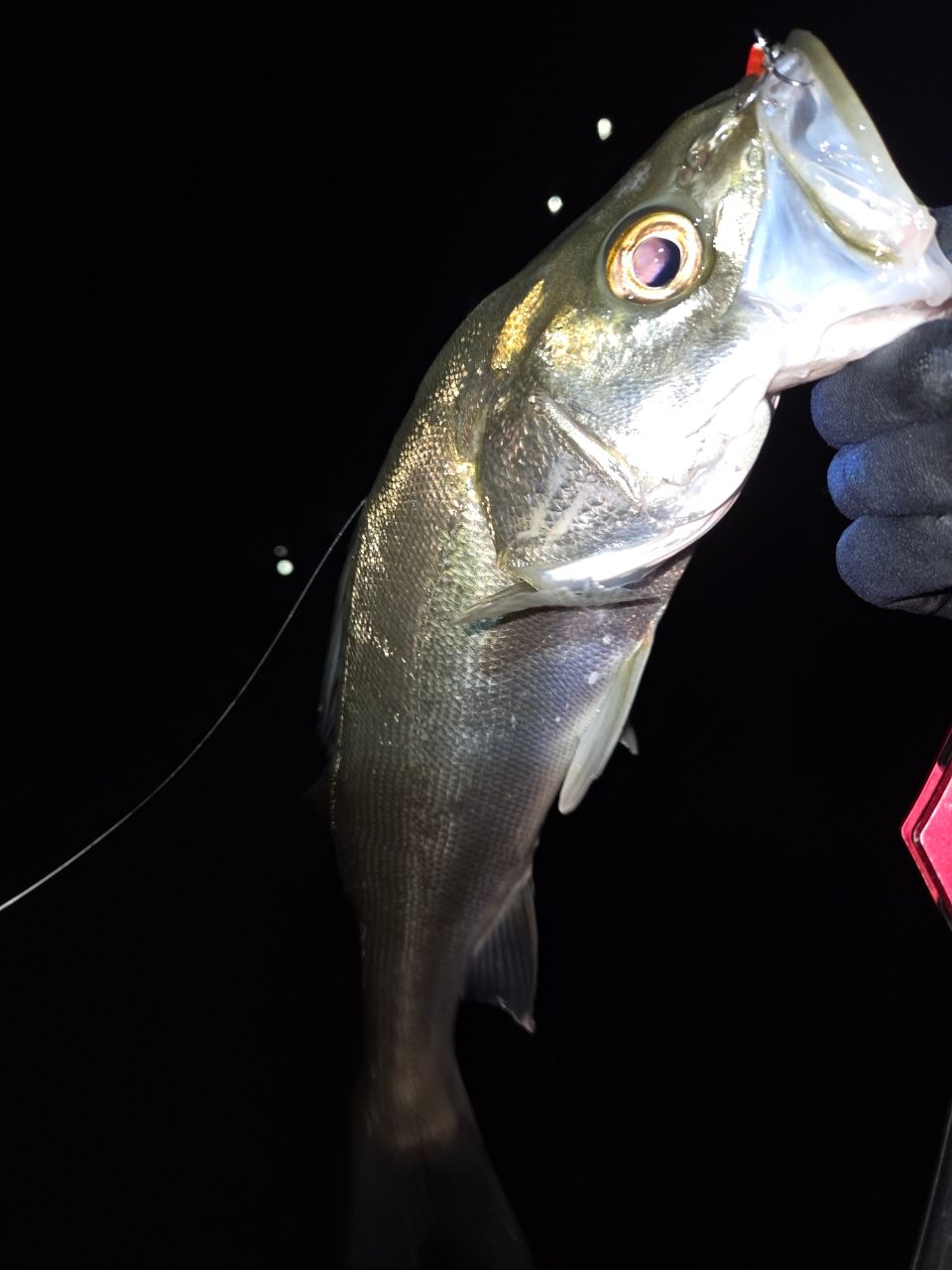 TENRYU スワット SW932S-LMLの最安値・インプレ・釣果 | 本音の