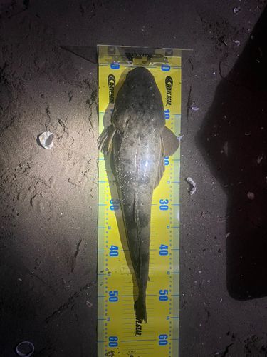 鈴鹿川派川河口