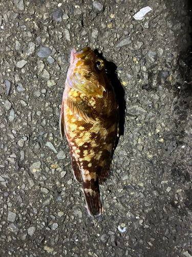 根岸湾