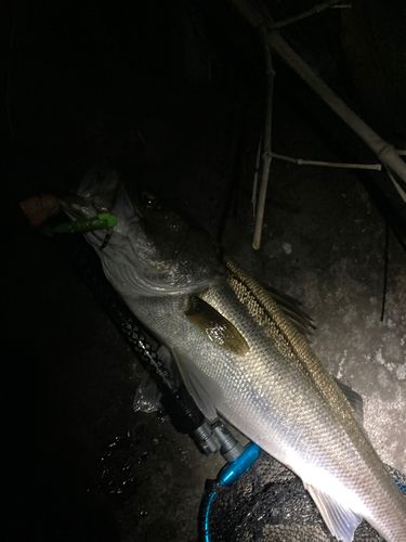 検見川浜突堤