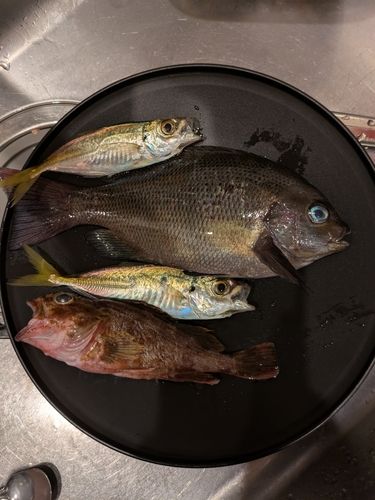 沖洲マリンピア