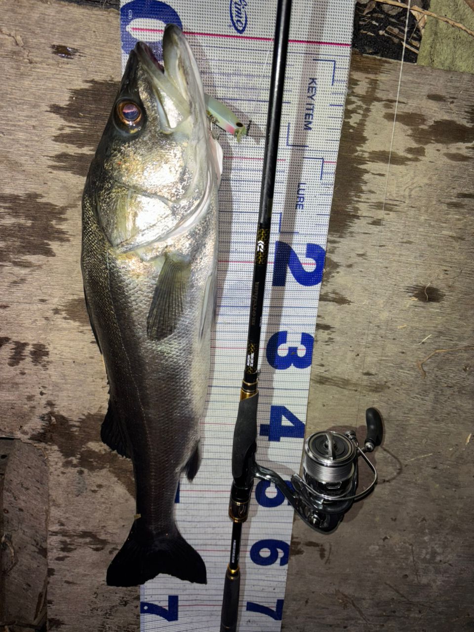 ダイワ モアザンブランジーノEX AGS 94ML ダイワ モアザン ブランジーノ EX AGS 94ML (ロッド・釣竿) 価格