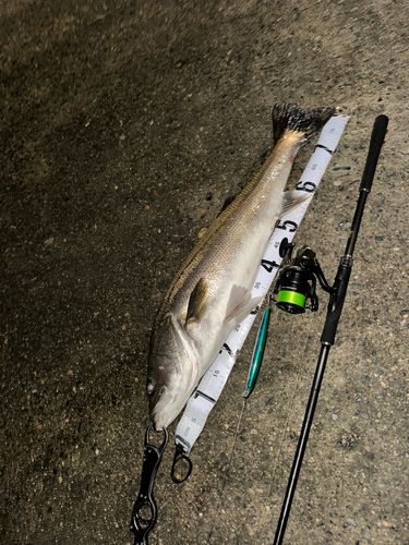 網代浜海水浴場