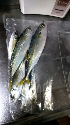 泉佐野食品コンビナート