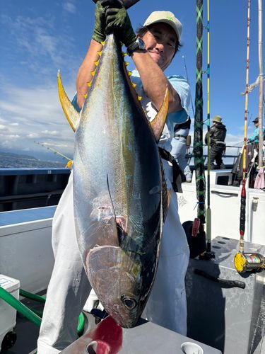 キハダマグロの釣果