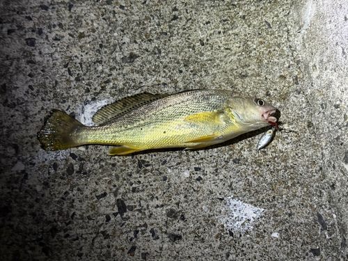 塩屋漁港（熊本）