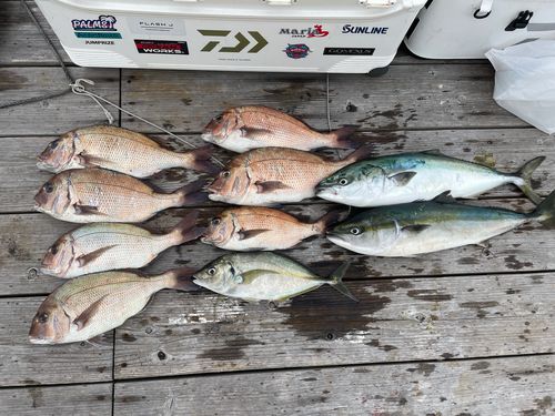 海上釣堀 大漁丸