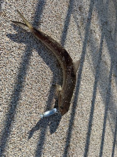 宇品波止場公園