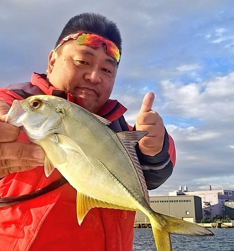 ギンガメアジの釣果