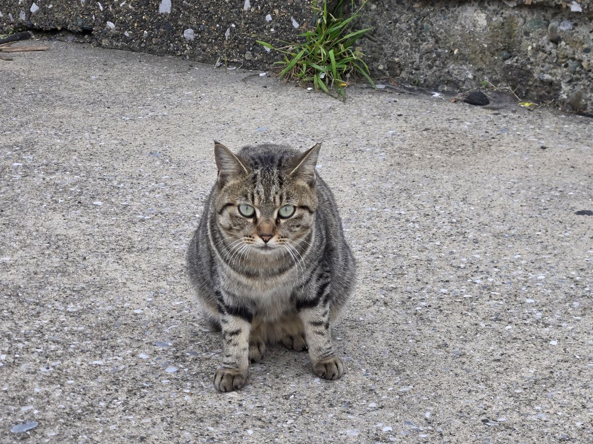くらんべるさんの釣果 2枚目の画像
