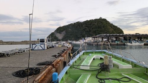 ハナダイの釣果