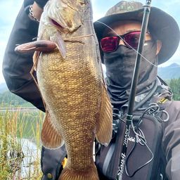 スモールマウスバス