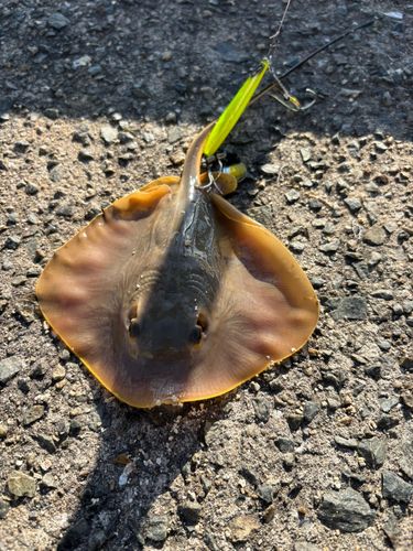 アジュール舞子