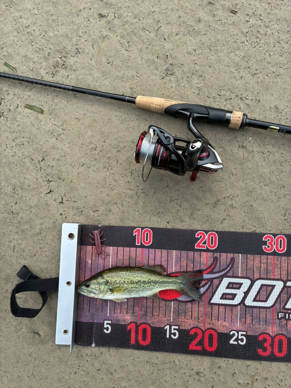 SHIMANO 22エクスプライド 263L-S/2の最安値・インプレ・釣果