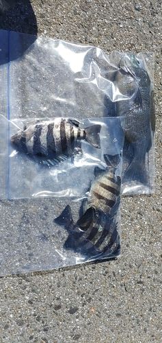 福間漁港海浜公園