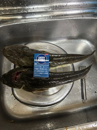 辻堂海浜公園前