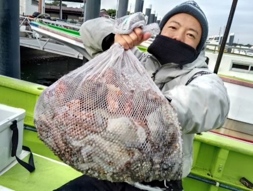 マダコの釣果