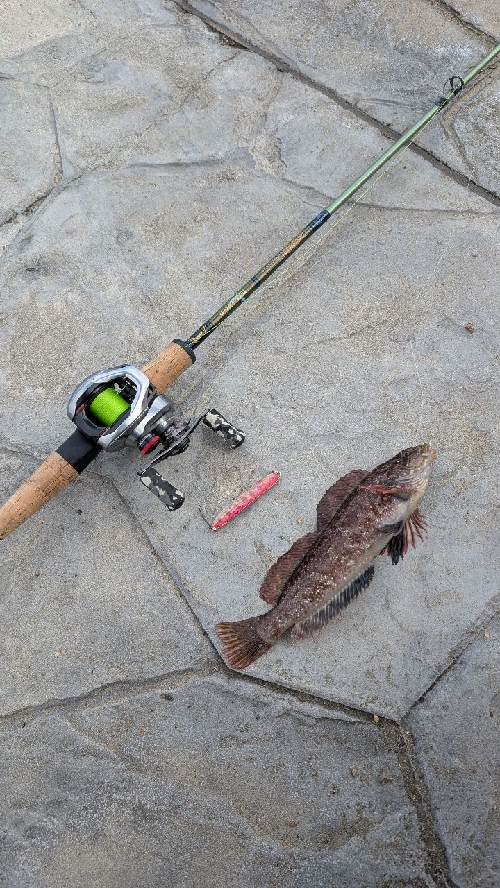 SHIMANO 21スコーピオン DC 150HG RIGHTの最安値・インプレ・釣果