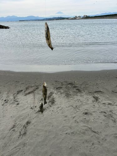 茅ヶ崎ヘッドランド